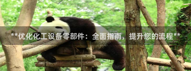 新城平台线路登录不上去了