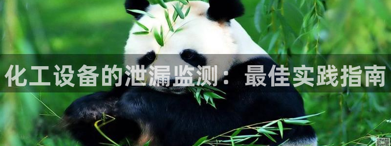 新城平台代理注册公司