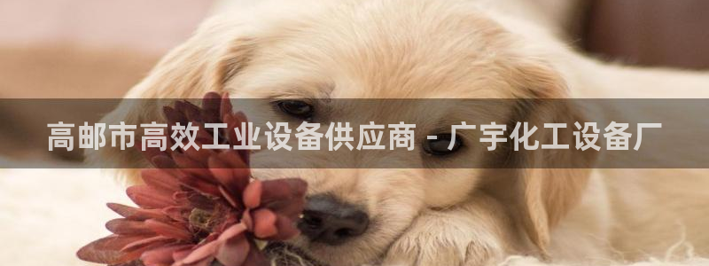 新城平台进·新城平台