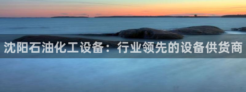 新城平台网址