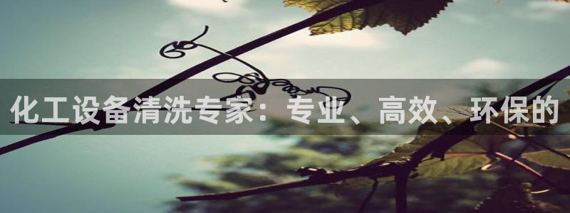新城平台代理注册公司