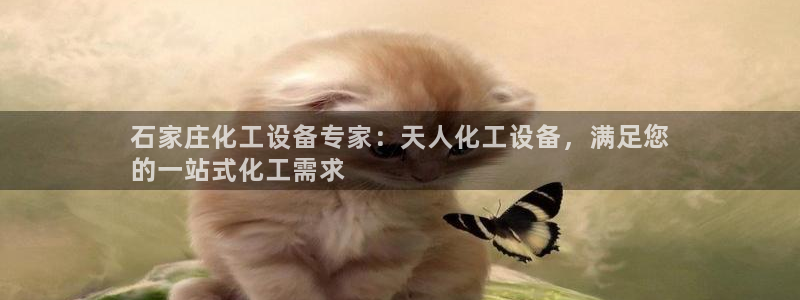 新城平台登录密码忘了