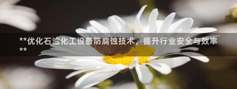 新城平台注册资金多少合适
