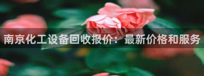 新城平台平台最新活动