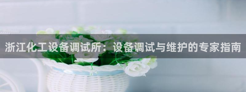 新城平台注册资金多少亿