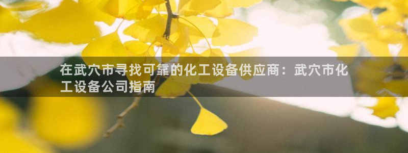 新城平台注册公司流程图