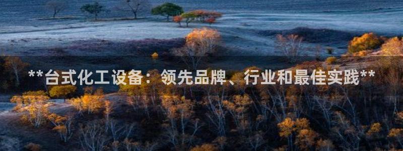 新城平台注册公司流程