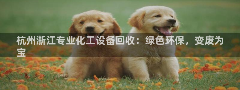 新城平台线路登录不上去