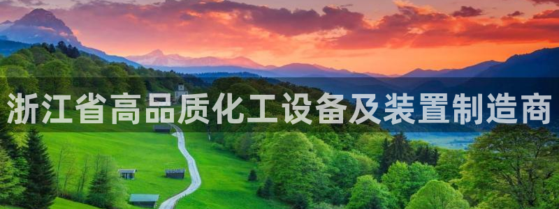 新城平台是干嘛的公司有哪些