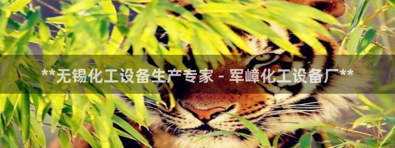 新城平台总代