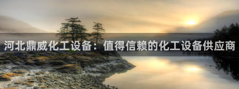 新城平台线路登录不上去怎么回事呢