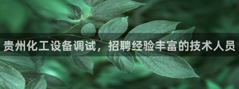 新城平台公司是国企吗