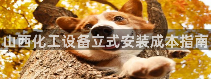 新城平台新注册