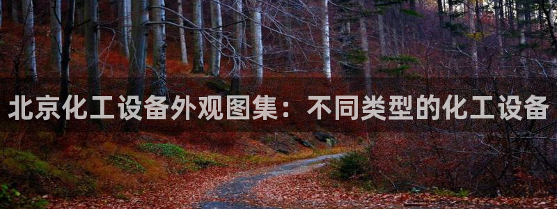 新城平台公司