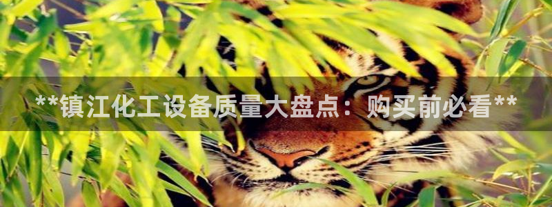 新城平台代理怎么做