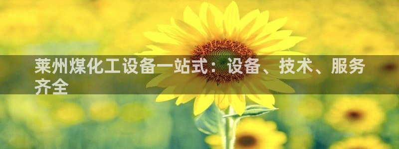 新城平台是干嘛的公司有哪些