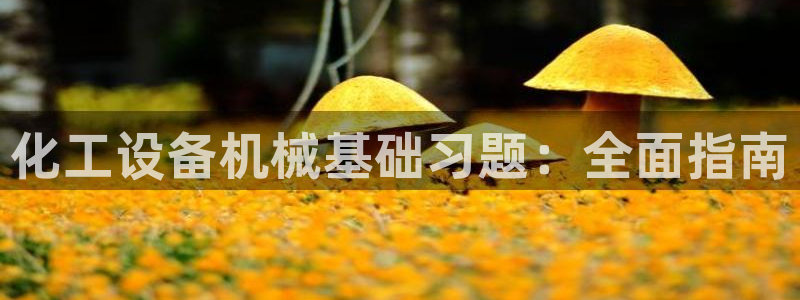 新城平台登录入口官网首页下载