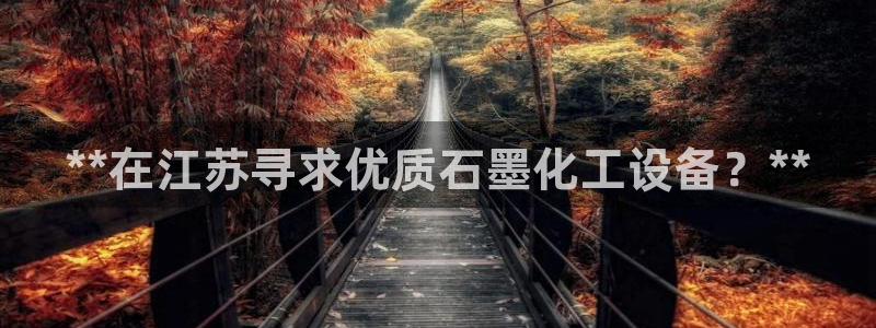 新城平台登录入口网站