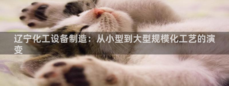 新城平台线路登录不上去怎么办呢