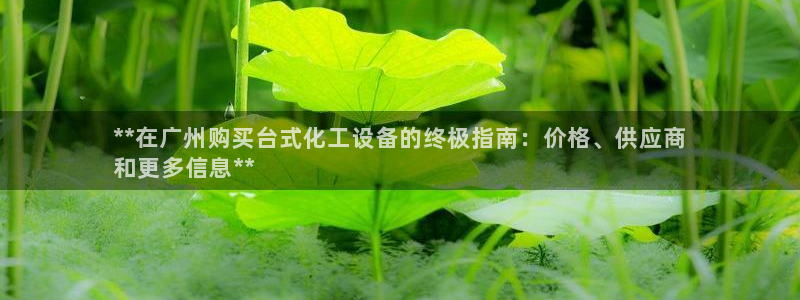 新城平台登录入口官网查询网址