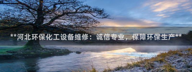 新城平台是干嘛的公司啊
