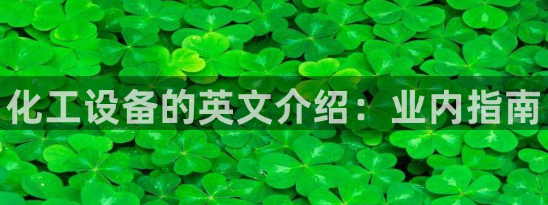 新城平台企业信息查询