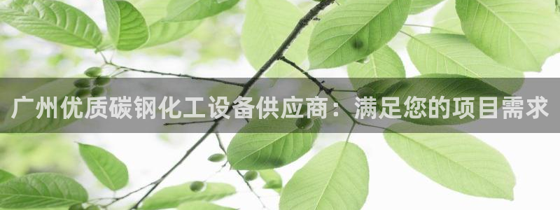 新城平台致7O777