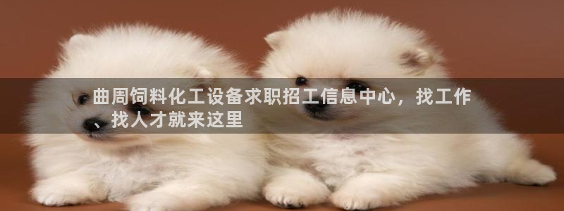新城平台登录