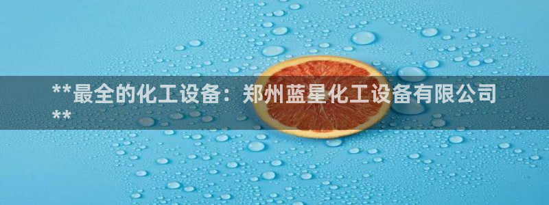 新城平台登录入口官网查询网址