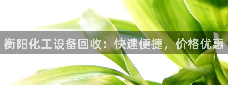 新城平台线路登录不上去怎么回事呀