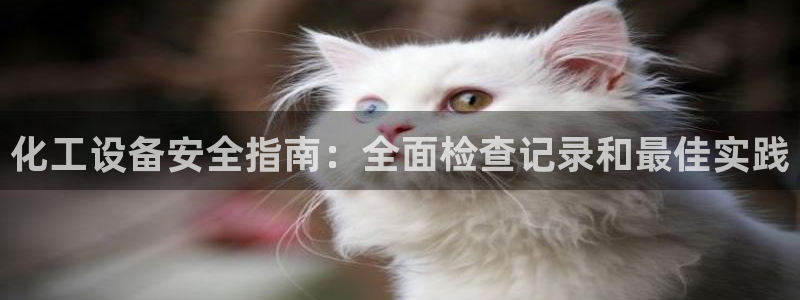 新城平台线路登录不上去怎么办呢