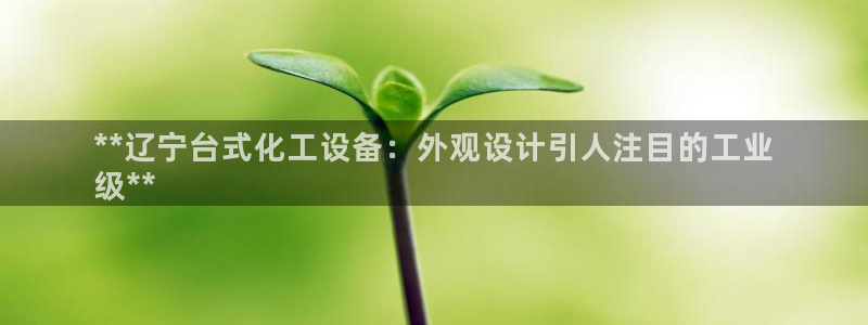 新城平台注册公司流程图