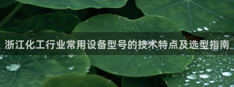 新城平台是干嘛的公司