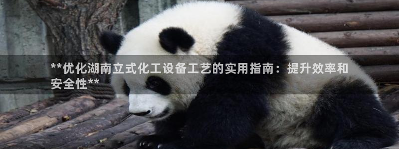 新城平台代理怎么做