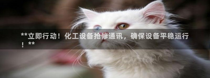 新城平台线路登录不上去了