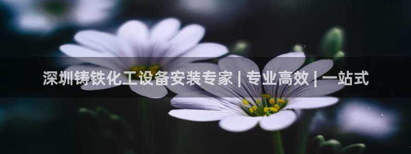 新城平台代理电话