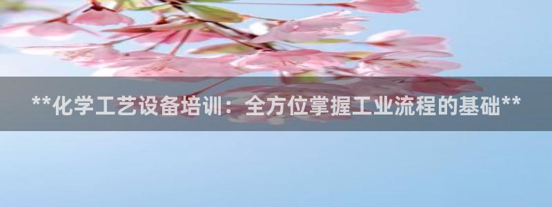 新城平台登录入口官网查询系统