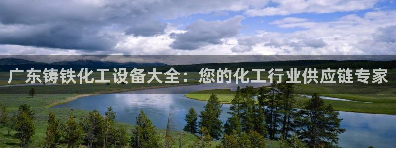 新城平台线路登录不上去怎么办呀