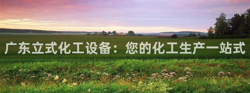 新城平台平台