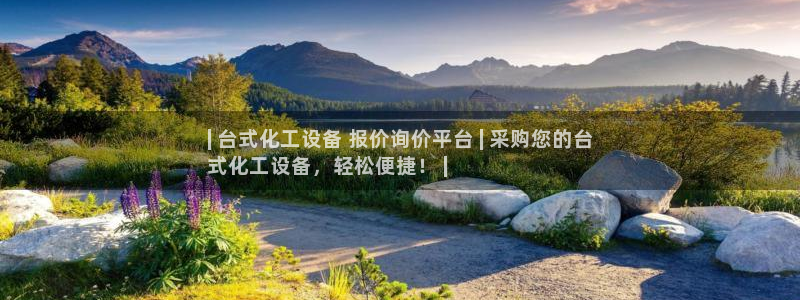 新城平台企业信息查询