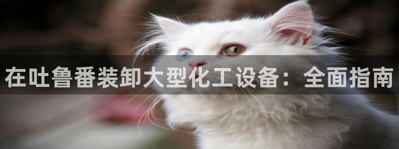 新城平台公司是国企吗
