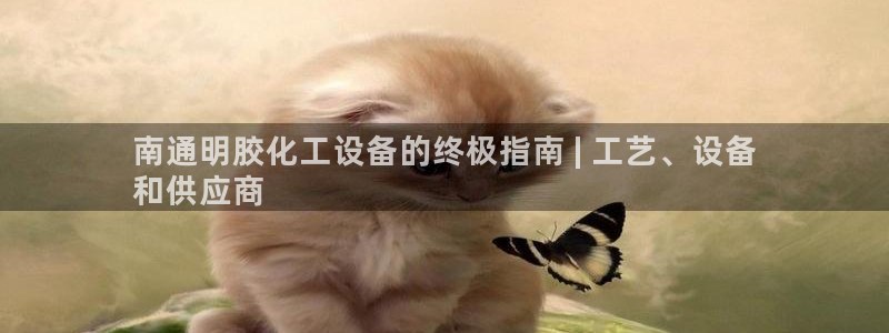 新城平台招商