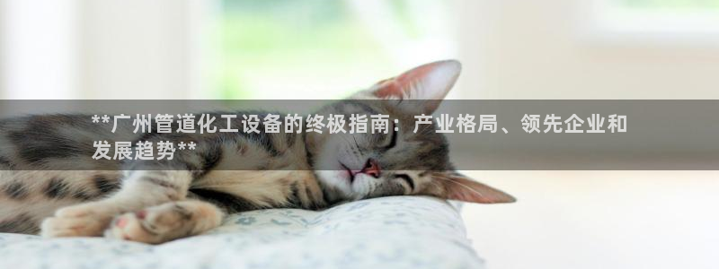 新城平台入.新城平台.全国联网是什么意思