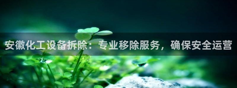 新城平台官网首页登录