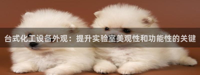 新城平台代理注册公司