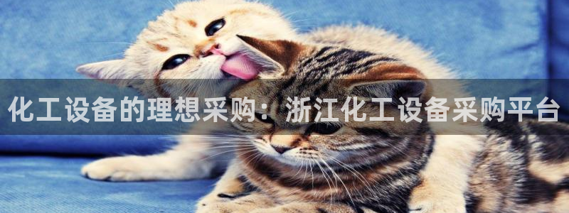 新城平台注册流程及费用