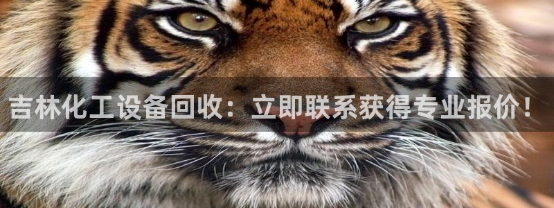 新城平台登录密码忘了怎么改