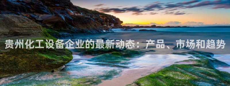 新城平台登录入口官网首页查询