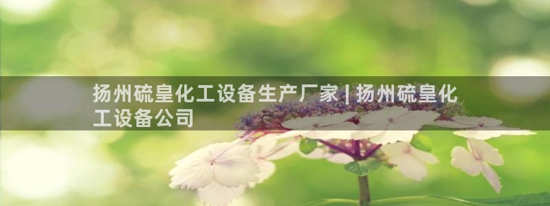 新城平台网址