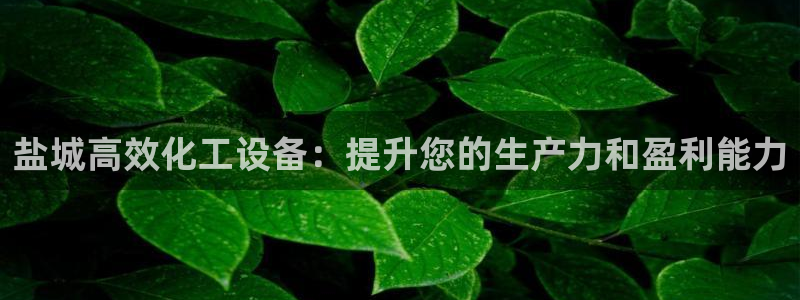新城平台登录入口官网查询信息